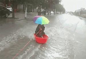 河北探秘，小巷深处的独特风味之旅