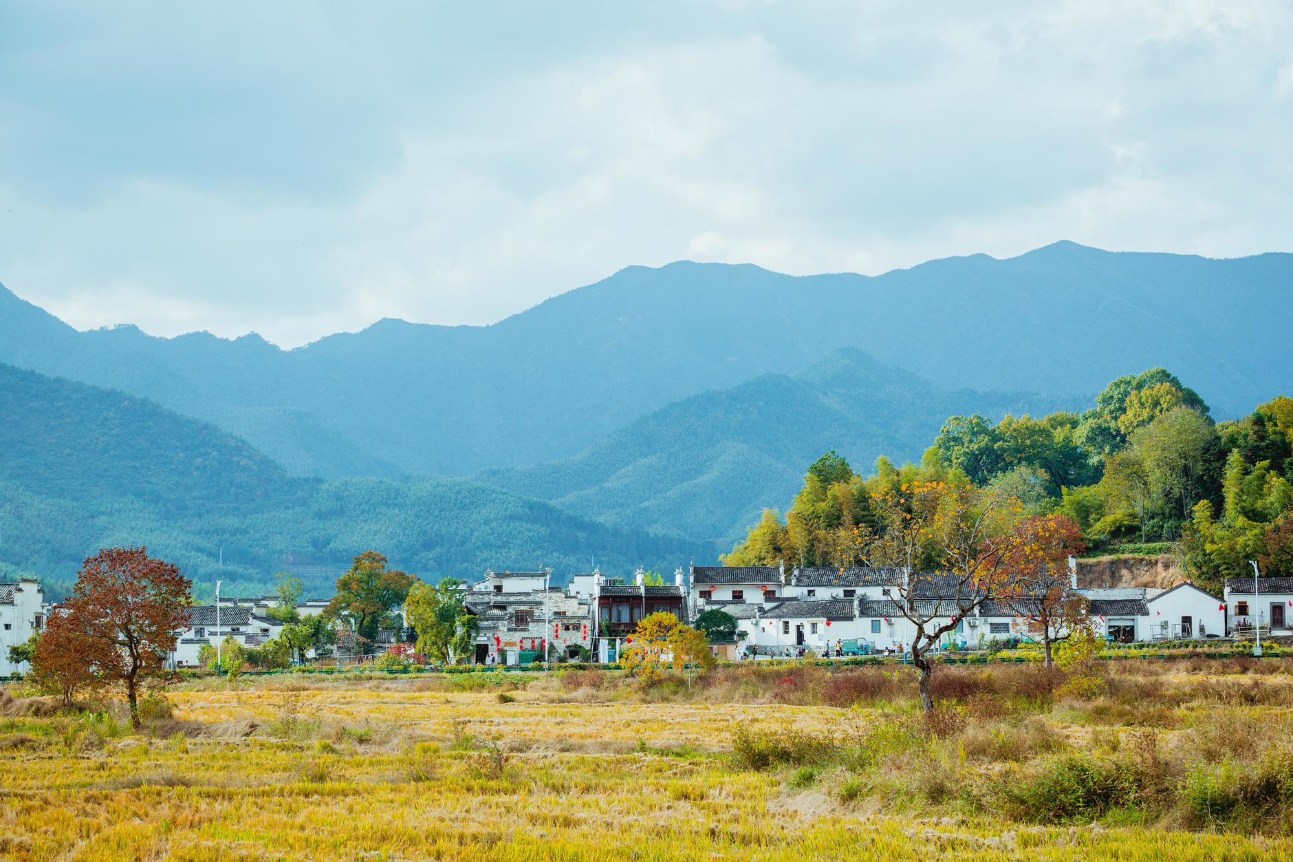 安徽尊礼，致敬领导与同胞的盛会